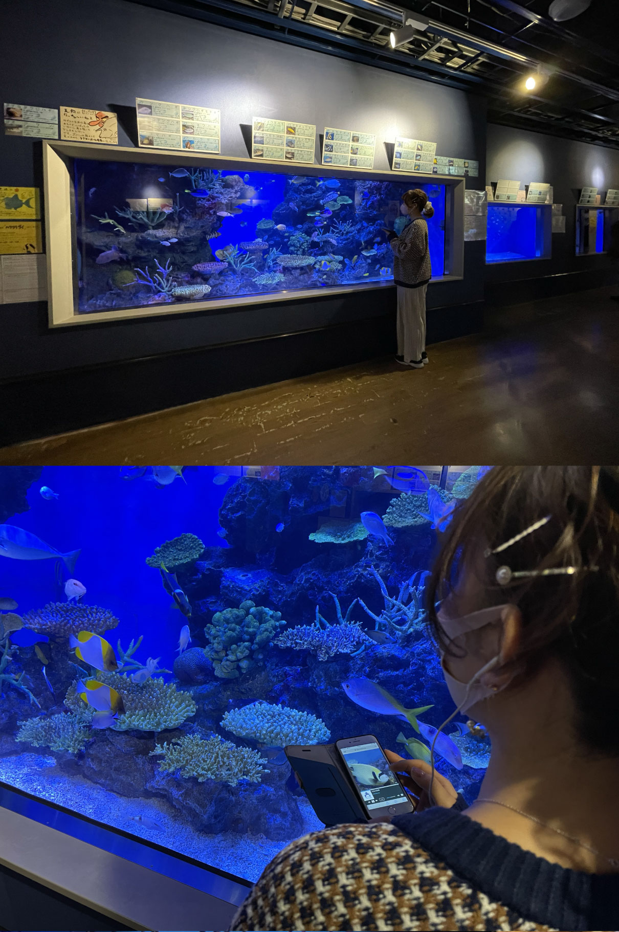 votory-site-takeshima1